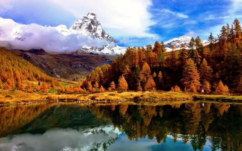 电子无人化